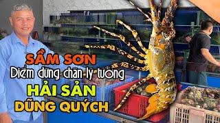 Việt Food  Bất Ngờ Giá Hải Sản Dũng Quých Điểm Dừng Chân Sầm Sơn Tuyệt Hảo