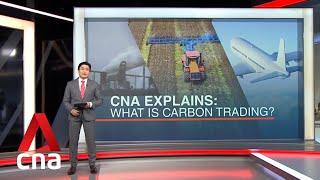 CNA Explains What is carbon trading and how does it work?