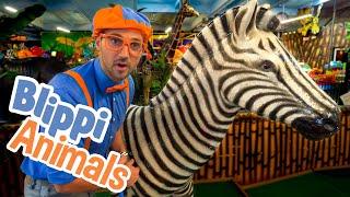 Blippi and Jungle Animals  Explore with BLIPPI  Educational Videos for Toddlers