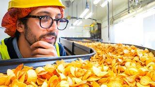 How It’s Made  Inside a French Potato Chip Factory