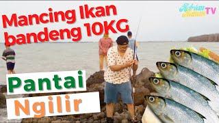 Mancing Bandeng dapat 10kilo  Pantai Ngilir Semarang Demak Free Entry Wisata Pantai Semarang