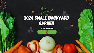 DAY #5 UPDATE 2024 SMALL BACKYARD GARDEN UPDATE