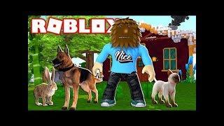 Pet Walking Simulator  Jeromeasf Roblox