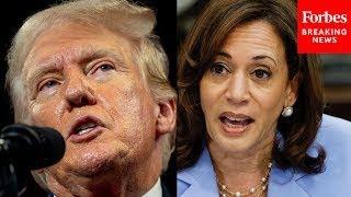 ‘She’s An Extreme Radical Left Lunatic’ Donald Trump Unleashes On Vice President Kamala Harris