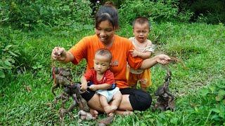 Single Mom Find Frogs and Eels Goes to market sell - Cook eel porridge - Life of mom & Two children