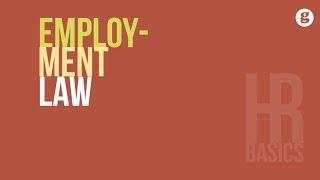 HR Basics Employment Law