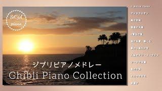 Studio Ghibli piano collection at sunset beach