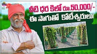 కోట్లలలో ఆదాయం వచ్చే  కొత్త సాగు  New farming business ideas 2023 in telugu @TeluguSelfEmployment