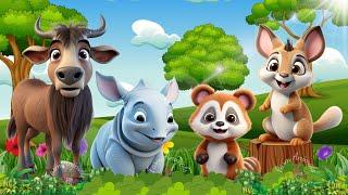 Happy animal moment Rhino Red panda Kangaroo Buffalo - Animals sound