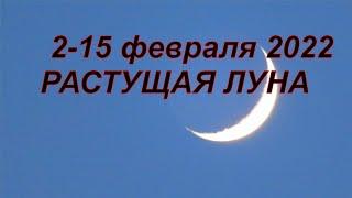 РАСТУЩАЯ ЛУНА  в ФЕВРАЛЕ 2022. ПРИМЕТЫ и ОБРЯДЫ