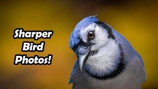 HERE’S WHY YOUR BIRD PICS AREN’T SHARP.