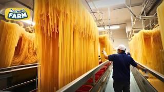 How Spaghetti Noodles Are Made INCREDIBLE Spaghetti Factory