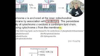 生化膜lipid相關的apoptosis