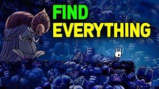 Hollow Knight- How to Find Every Charm Mask Soul Fragment and Everything Else