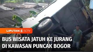 Bus Wisata Masuk Jurang di Kawasan Puncak Bogor 8 Orang Terluka  Liputan 6