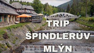 TRIP  Špindlerův Mlýn - Dřevařská cesta a  Turistická cesta  Údolím Bílého Labe