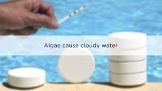 Cloudy Pool Water Causes and Treatment