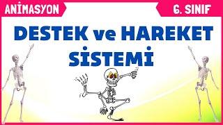 DESTEK VE HAREKET SİSTEMİ  6. SINIF FEN BİLİMLERİ 2. Ünite