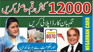 Nigehban Card Online 12000 - CM Maryam Nawaz Negahban Card 12000 Registration - 12000 Nigehban Card