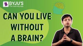 Can You Live Without a Brain?  BYJUS Fun Facts