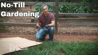 How to Make a No-Till Garden