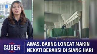 Info Kriminal Awas Bajing Loncat Makin Nekat Pelaku Beraksi di Siang Hari  Buser