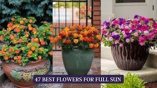 47 Best Flowers for Full Sun  Heat Tolerant Flowers for Containers #flowers #flower #container