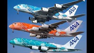 The Best A380 Livery - ANA A380 Fleet - All 3 flying Turtles
