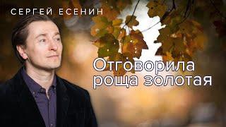 Сергей Безруков читает стихи Есенина @topstihi