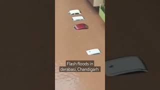 flash floods in derabasi Chandigarh  building submerged by flood in dera bassi #shorts #vforvinu