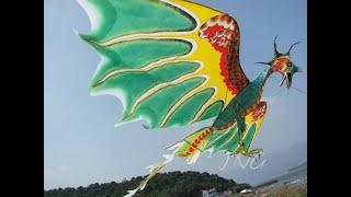 Avatar Dragon Kite Flying