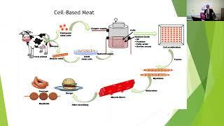 Precision fermentation and cell based meat viable alternatives