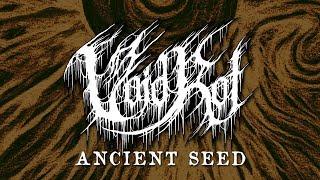 VOID ROT ANCIENT SEED Official Track Premiere