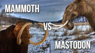 Mammoth v. Mastodon