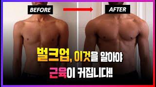 근육을 크고 강하게 만드는 벌크업의 유일한 방법