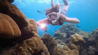 Snorkeling Koh Lipe Thailand