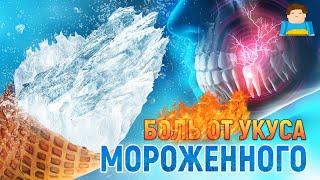 Вот почему от мороженного болят зубы  Plushkin