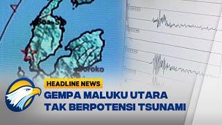 Gempa M 59 Maluku Utara Tak Berpotensi Tsunami