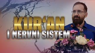 Kuran i Nervni Sistem