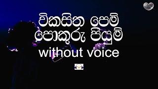 Vikasitha Pem Karaoke without voice විකසිත පෙම්  Sinhala Music Tracks