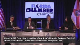 2015 Insurance Summit - Floridas CAT Fund