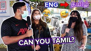 Who is the best at their Mother Tongue?  *TAMIL* vs malay vs chinese