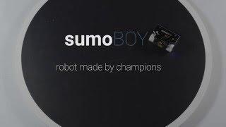 SumoBoy is ready for Kickstarter