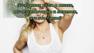 Эшерихия коли в мазке моче симптомы и лечение что это такое?