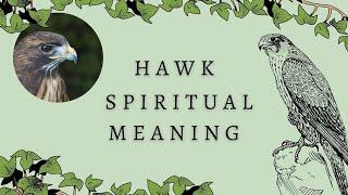 5 Reasons For Seeing The Hawk Spirit Animal  Hawk Spiritual Symbolism