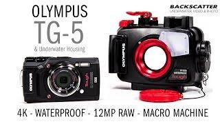 First Hands-On Look Olympus TG-5 Underwater Camera