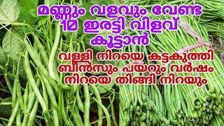 പഴയ കുപ്പി മതി പത്തിരട്ടി വിളവ് കൂട്ടാം ആഴ്ചകൾ കൊണ്ട്   Payar Krishi A to Z