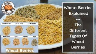 MASTERCLASS The Wheat Berry Explained  The Different Types Of Wheat Berries