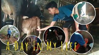 A DAY IN MY LIFE edisi nyenengno mak e dan pak e 