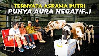 TERNYATA DRH RAJANTI BARU SADAR ASRAMA PUTRI ISINYA SAPI KOSONG SEMUA..